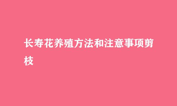 长寿花养殖方法和注意事项剪枝