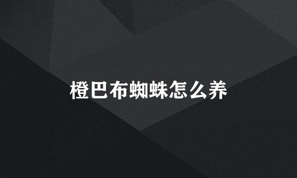橙巴布蜘蛛怎么养