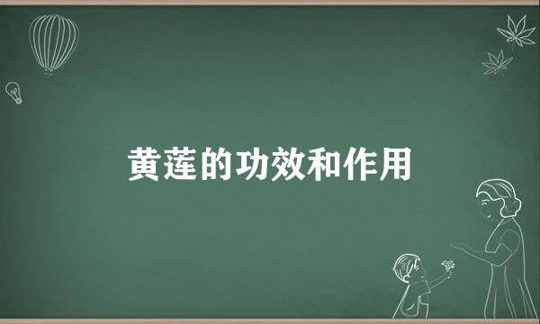 黄莲的功效和作用