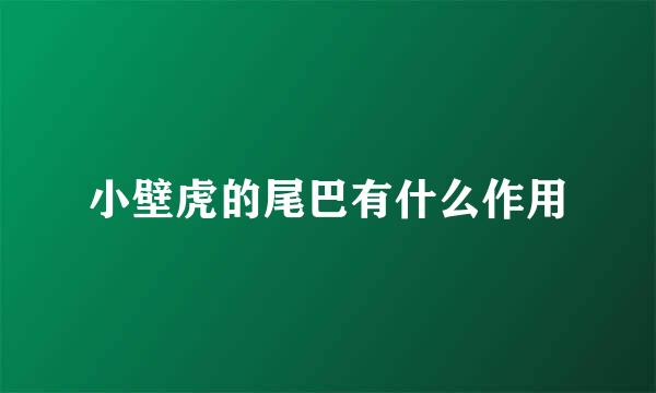 小壁虎的尾巴有什么作用