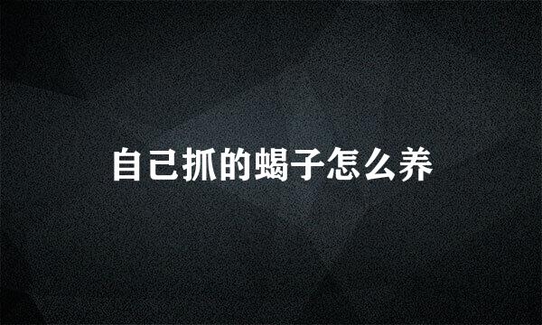 自己抓的蝎子怎么养