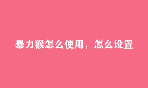 暴力猴怎么使用，怎么设置
