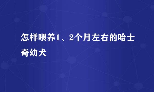 怎样喂养1、2个月左右的哈士奇幼犬
