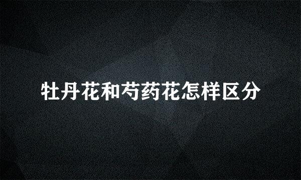 牡丹花和芍药花怎样区分