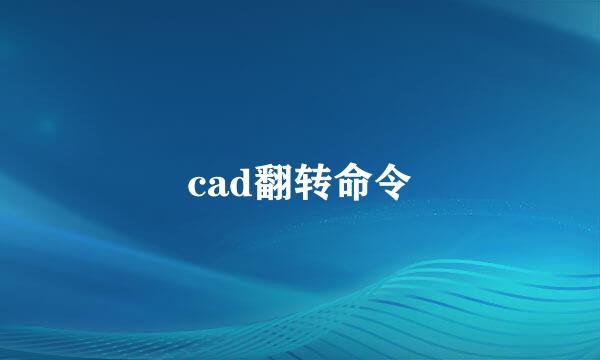cad翻转命令