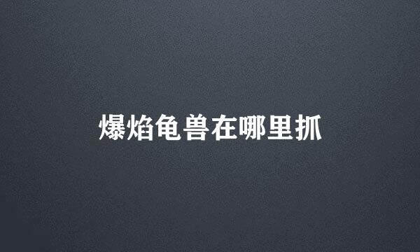 爆焰龟兽在哪里抓