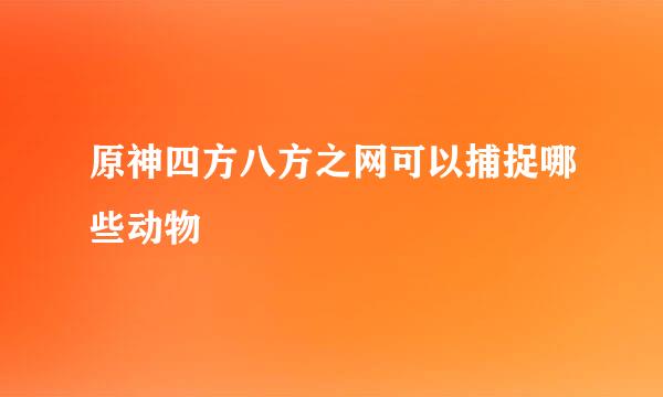 原神四方八方之网可以捕捉哪些动物