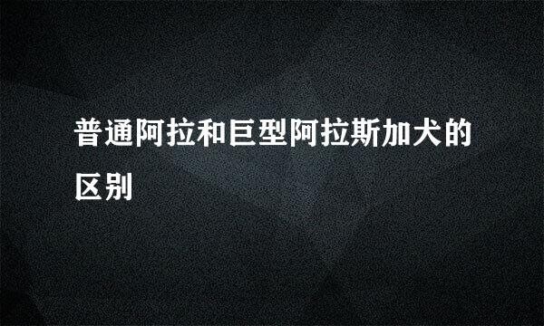 普通阿拉和巨型阿拉斯加犬的区别
