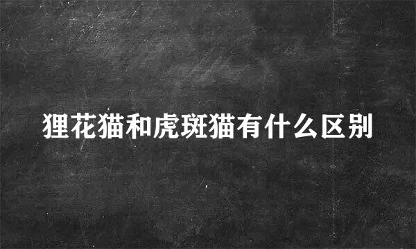 狸花猫和虎斑猫有什么区别