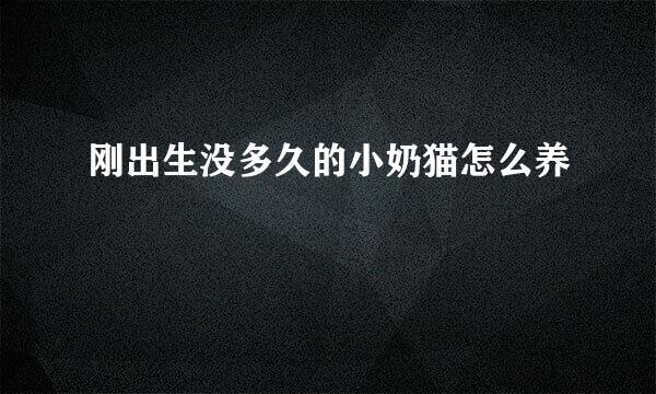 刚出生没多久的小奶猫怎么养