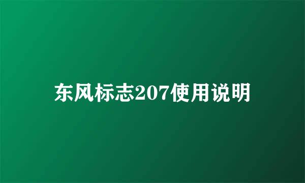 东风标志207使用说明