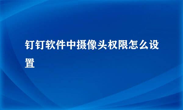 钉钉软件中摄像头权限怎么设置