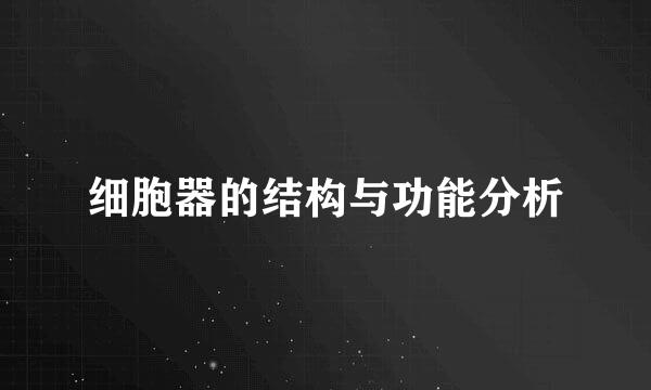 细胞器的结构与功能分析