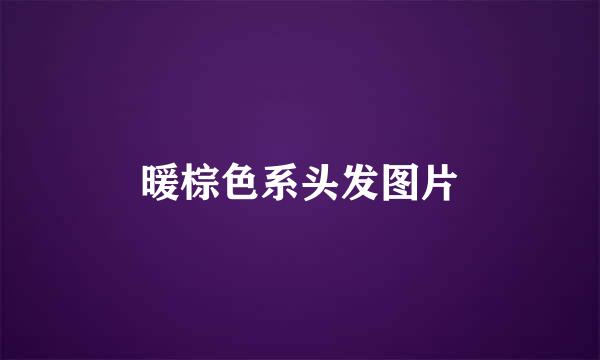 暖棕色系头发图片