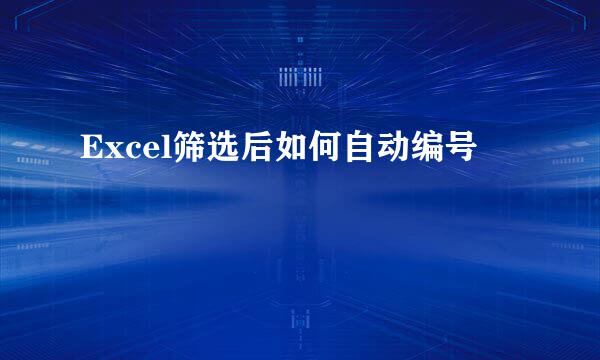 Excel筛选后如何自动编号