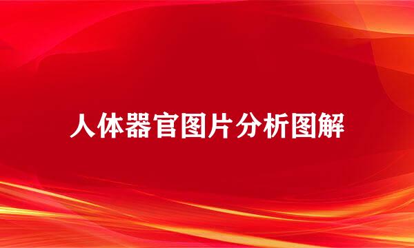 人体器官图片分析图解