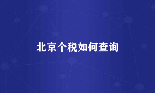 北京个税如何查询