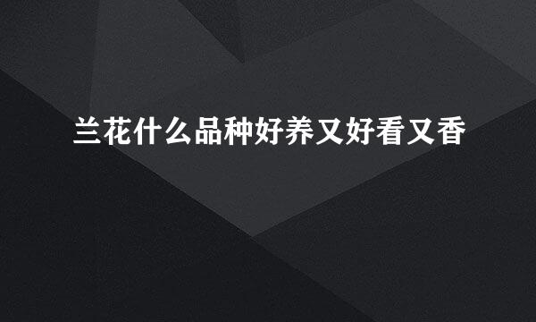 兰花什么品种好养又好看又香