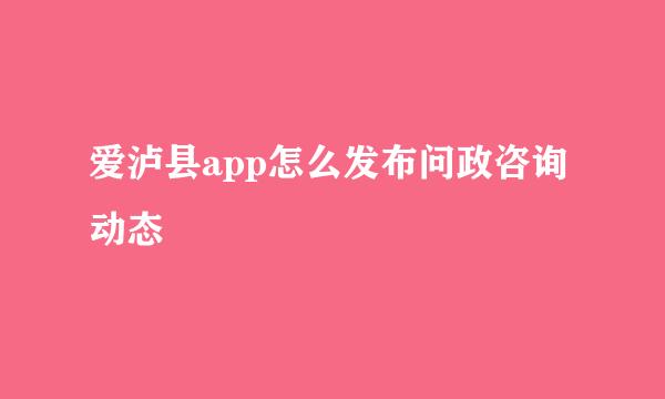 爱泸县app怎么发布问政咨询动态