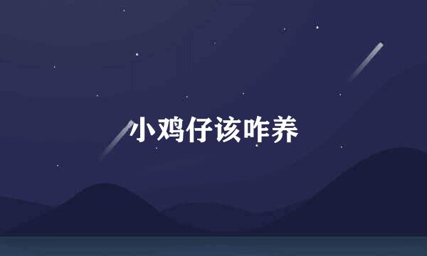 小鸡仔该咋养