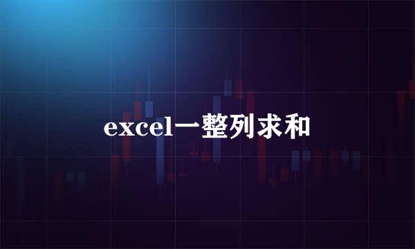 excel一整列求和