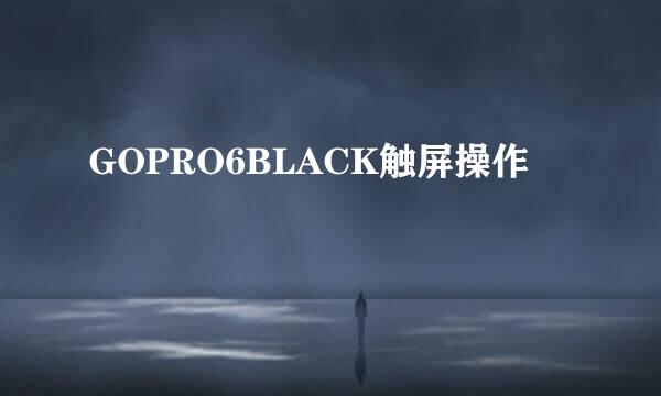 GOPRO6BLACK触屏操作
