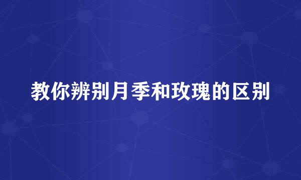 教你辨别月季和玫瑰的区别