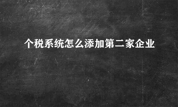 个税系统怎么添加第二家企业