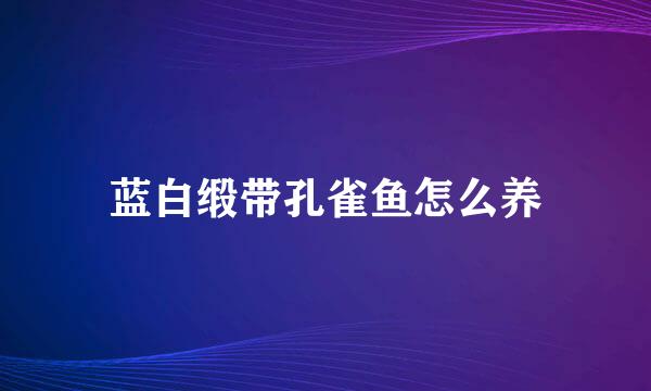 蓝白缎带孔雀鱼怎么养