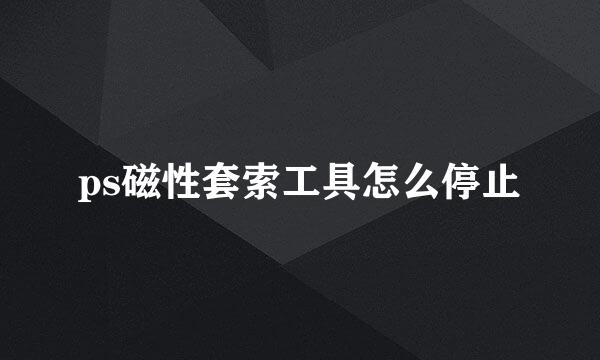 ps磁性套索工具怎么停止