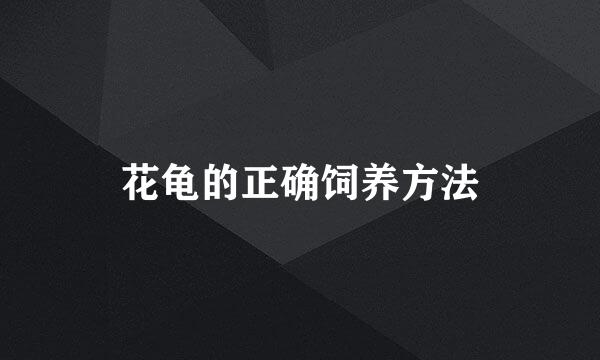 花龟的正确饲养方法