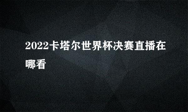 2022卡塔尔世界杯决赛直播在哪看