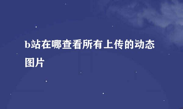 b站在哪查看所有上传的动态图片