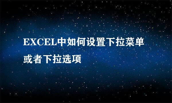 EXCEL中如何设置下拉菜单或者下拉选项