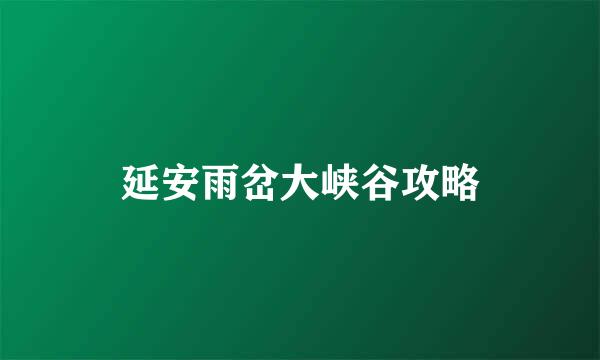 延安雨岔大峡谷攻略