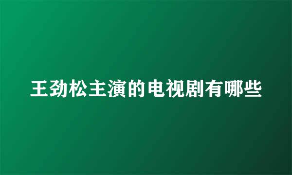 王劲松主演的电视剧有哪些