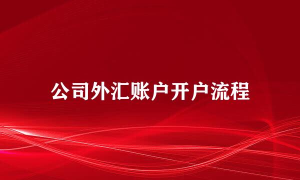 公司外汇账户开户流程