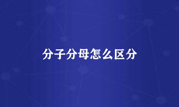 分子分母怎么区分