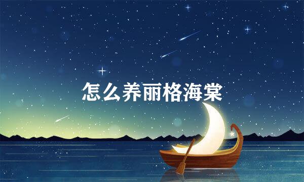 怎么养丽格海棠