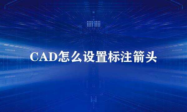 CAD怎么设置标注箭头