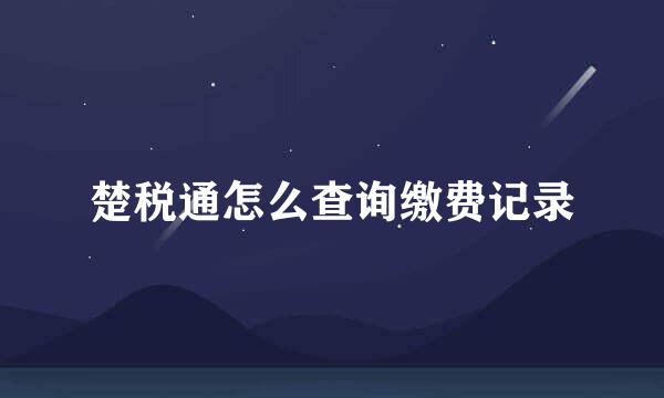楚税通怎么查询缴费记录