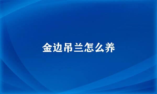 金边吊兰怎么养