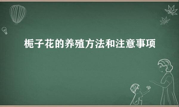 栀子花的养殖方法和注意事项