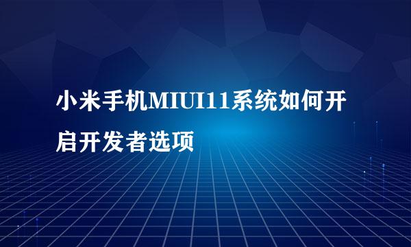 小米手机MIUI11系统如何开启开发者选项