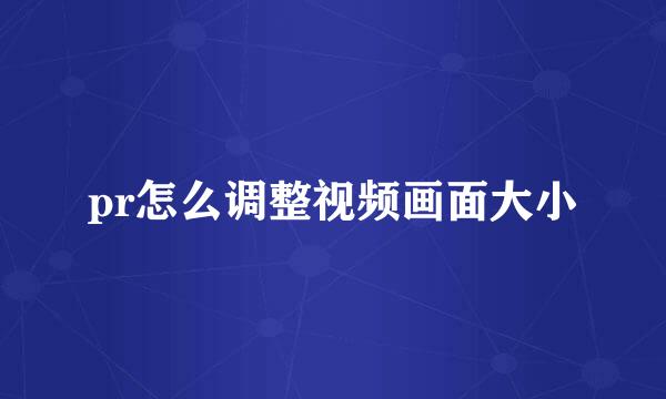 pr怎么调整视频画面大小