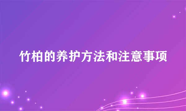 竹柏的养护方法和注意事项