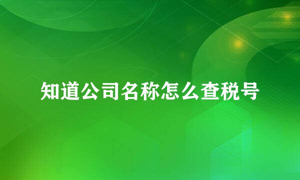 知道公司名称怎么查税号