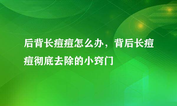 后背长痘痘怎么办，背后长痘痘彻底去除的小窍门