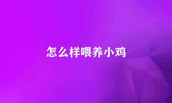 怎么样喂养小鸡
