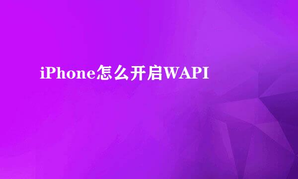 iPhone怎么开启WAPI